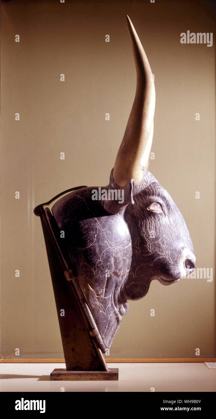 Testa di toro rhyton in nero steatile con pietra occhio di cristallo e legno dorato da corna Knosses 1500 BC Foto Stock
