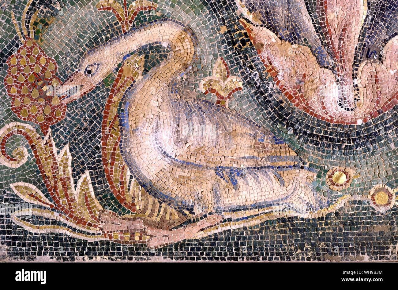 Mosaico romano Swan 4 secolo restaurata 1200 St Peters Foto Stock