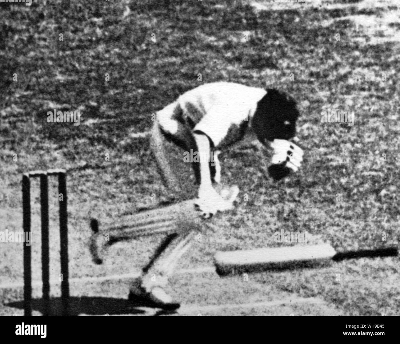 Bert Oldfield ha colpito alla testa da Larwood ad Adelaide nel 1933. ha ammesso che non era il giocatori anomalia come egli aveva girato la sfera nella sua face off il bat Foto Stock
