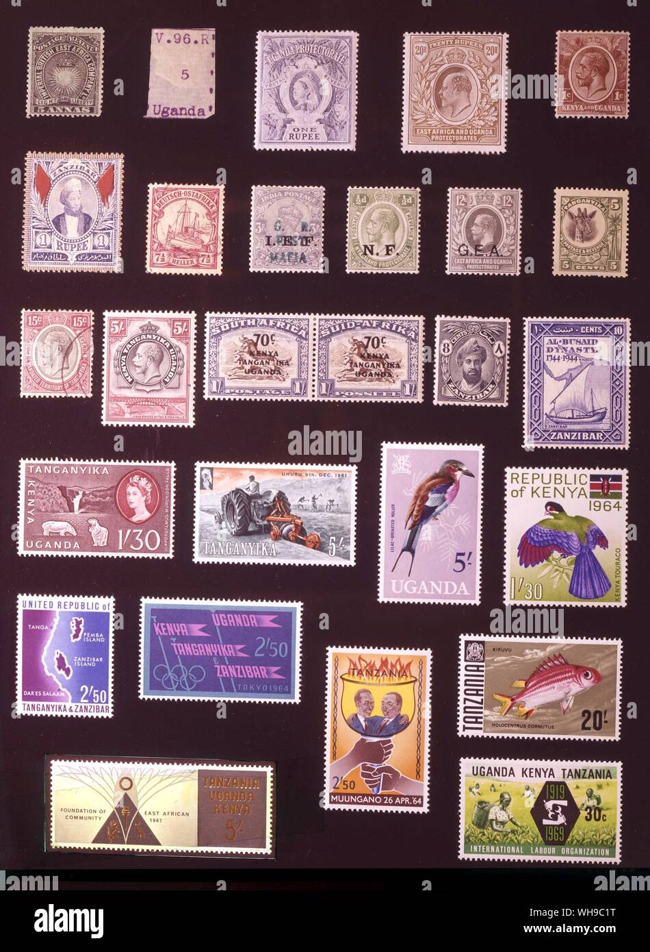 AFRICA - L AFRICA mangiare: (da sinistra a destra) 1. British East Africa Company, 5 annas, 1894, 2. In Uganda, 5 cowries, 1896, 3. In Uganda, 1 rupee, 1898, 4. In Africa orientale e in Uganda protettorati, 20 rupie, 1902, 5. Kenya e Uganda, 1 cent, 1922, 6. Zanzibar, 1 rupee, 1896, 7. Il tedesco in Africa Orientale, 7.5 heller, 1905, 8. Isola di mafia, 3 torte, 1915, 9. Nyasaland campo forze, 0,5 penny, 1916 10. Il tedesco in Africa orientale sotto amministrazione britannica, 12 centesimi, 1917, 11. Tanganica, 5 centesimi, 1922 12. Tanganica, 15 centesimi, 1927, 13. Kenya, Uganda e Tanganika, 5 scellini, 1935, 14. Sud Africa francobolli sovrastampati per Foto Stock