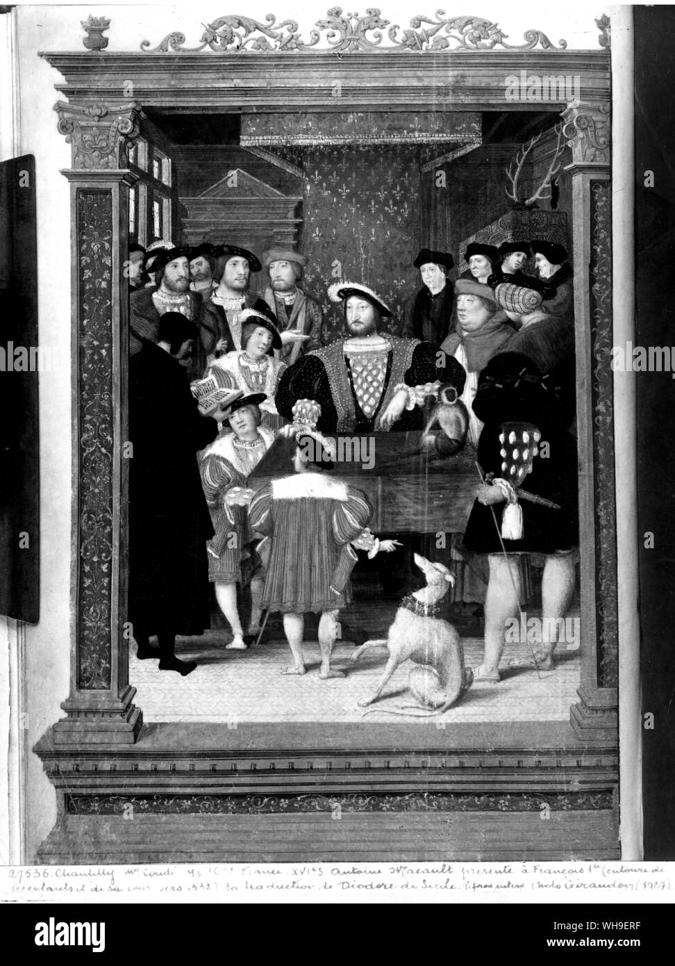 Re Francois I (1494-1547) Foto Stock