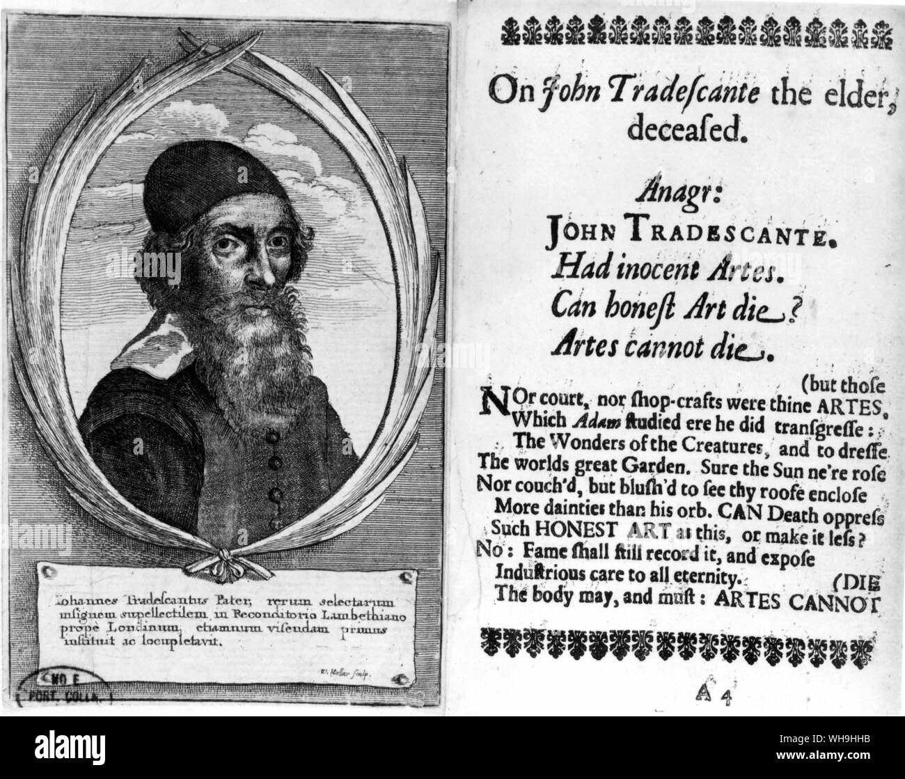 John Tradescant (1570-c.1638), inglese giardiniere e botanico che è pensato per avere portato la lattuga a Inghilterra dall'isola greca dello stesso nome. Foto Stock