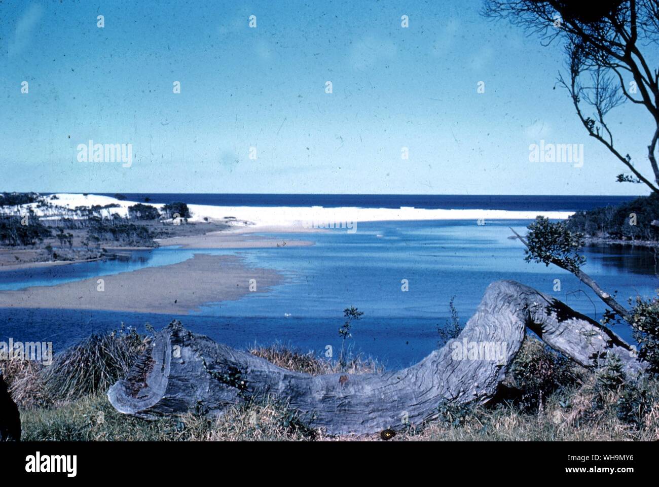 Australia Bonville Creek Sawyell a nord di Sydney Foto Stock