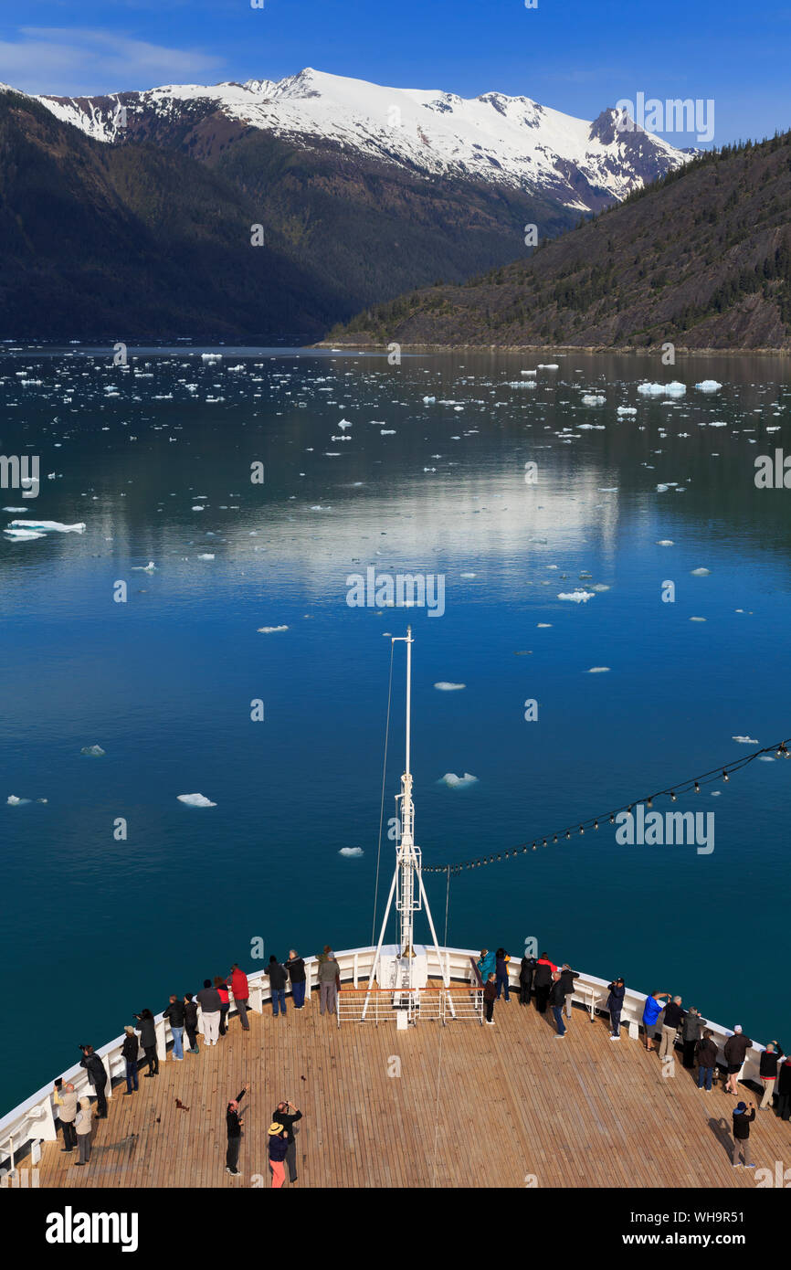 La nave di crociera, Braccio Endicott, Holkham Bay, Juneau, Alaska, Stati Uniti d'America, America del Nord Foto Stock