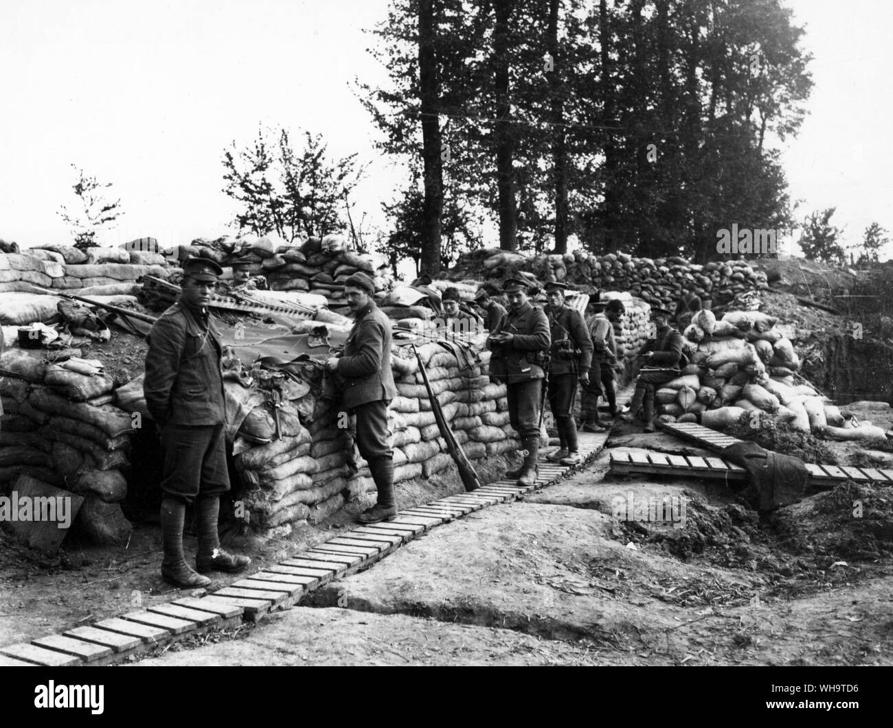 WW1: Francia settentrionale: truppe canadesi in prima linea di trincee, Ploegsteert legno, ottobre 1915. Foto Stock