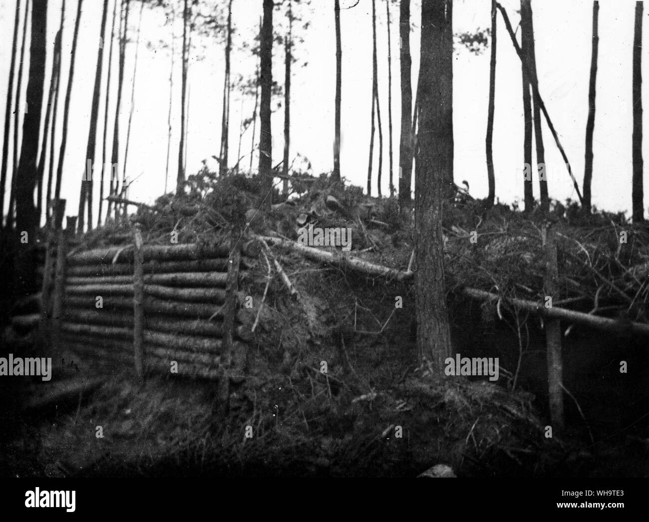 WW1: parte di XI ussaro il settore delle trincee Zillebeke, Gennaio/Febbraio 1915. Foto Stock