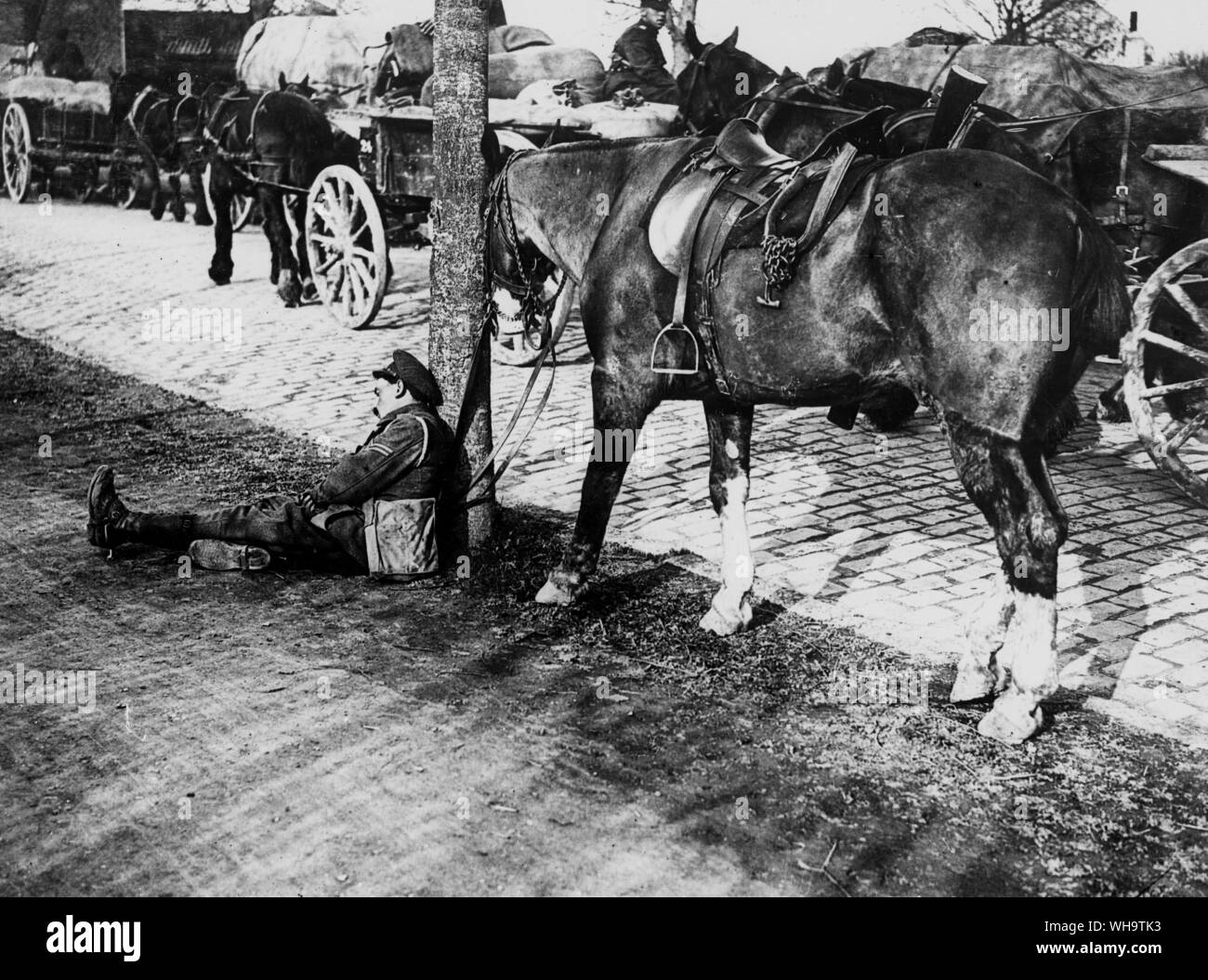 WW1/Francia: offensiva tedesca. Una colonna di alimentazione della strada di Merville, aprile 1918. Foto Stock