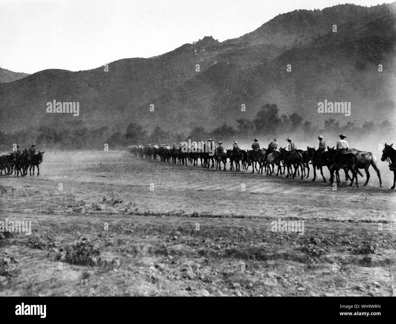 WW1/ Balcani. Tenendo muli ad acqua, vicino a Stavros, luglio 1916. Foto Stock