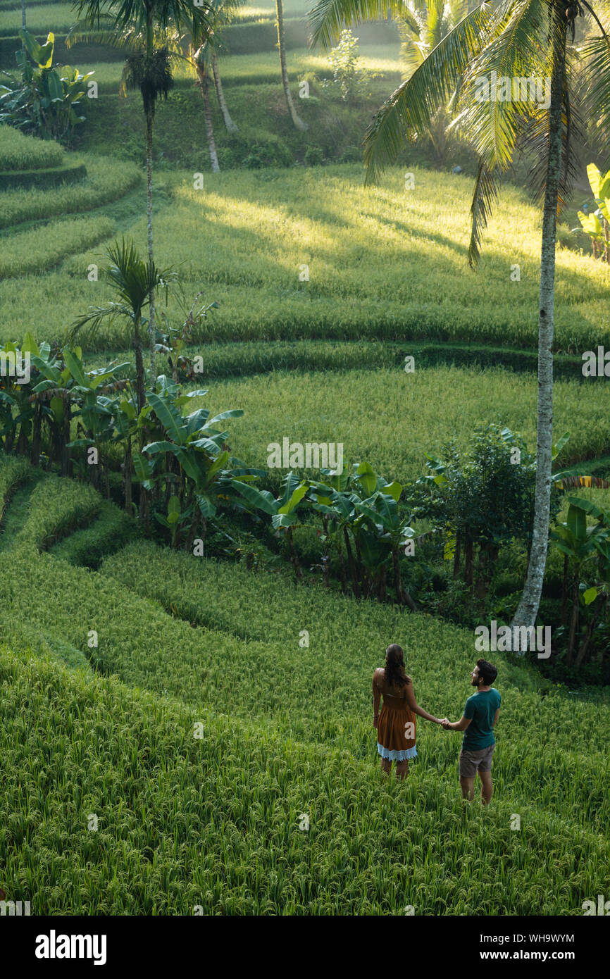 Tegalalang terrazze di riso nei pressi di Ubud, Bali, Indonesia, Asia sud-orientale, Asia Foto Stock