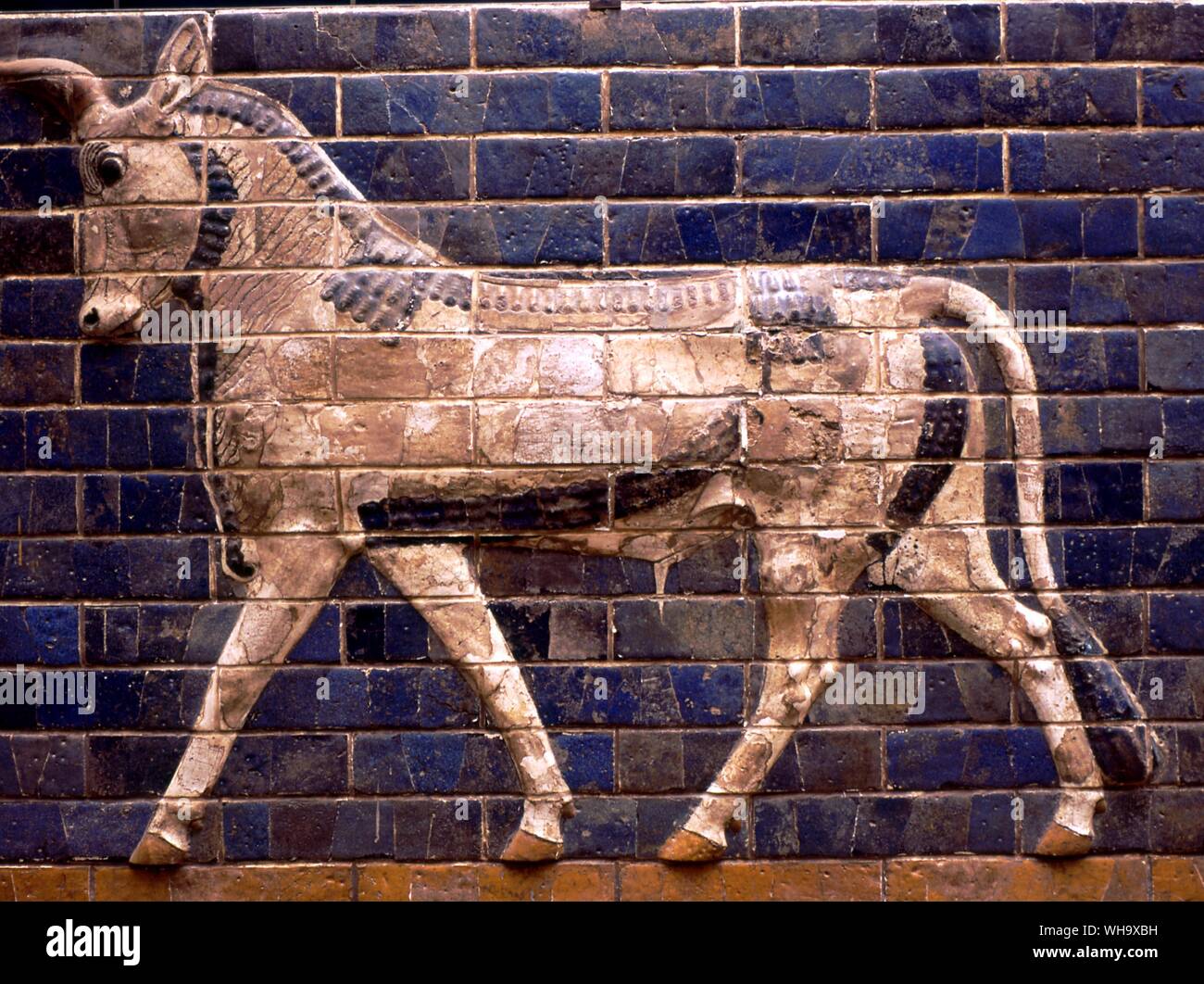 Bull - un rilievo in piastrelle che un tempo decoravano il mattone e bitume mura di Babilonia Foto Stock