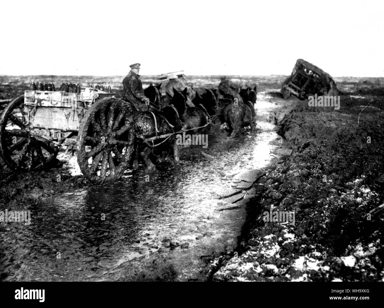 WW1: Somme, 1916. Cavalli wade attraverso il fango e acqua. Foto Stock