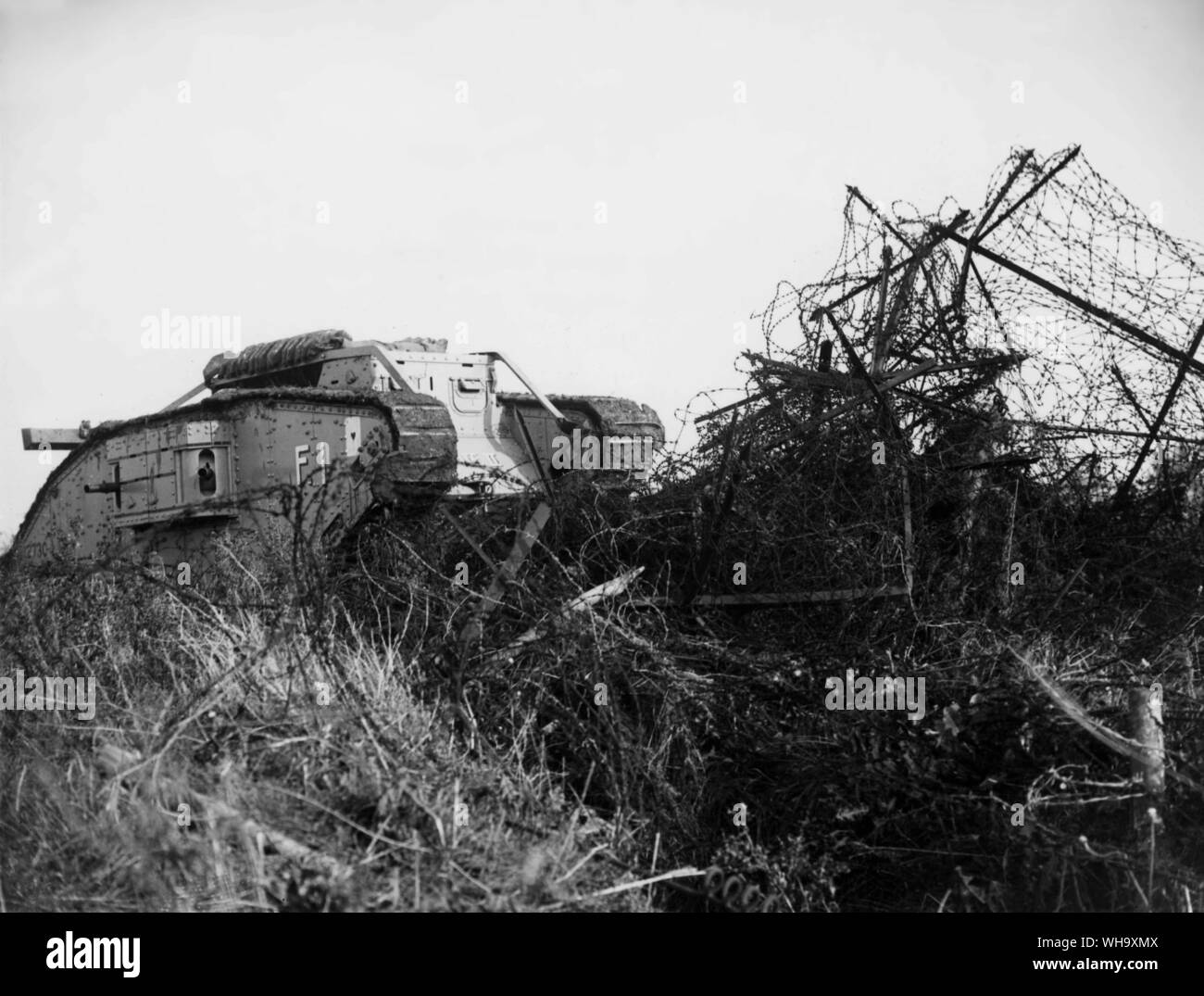 WW1: un battaglione F serbatoio (F1) di esercitarsi in Wailly per la battaglia di Cambrai. Il 21 ottobre 1917. Foto Stock
