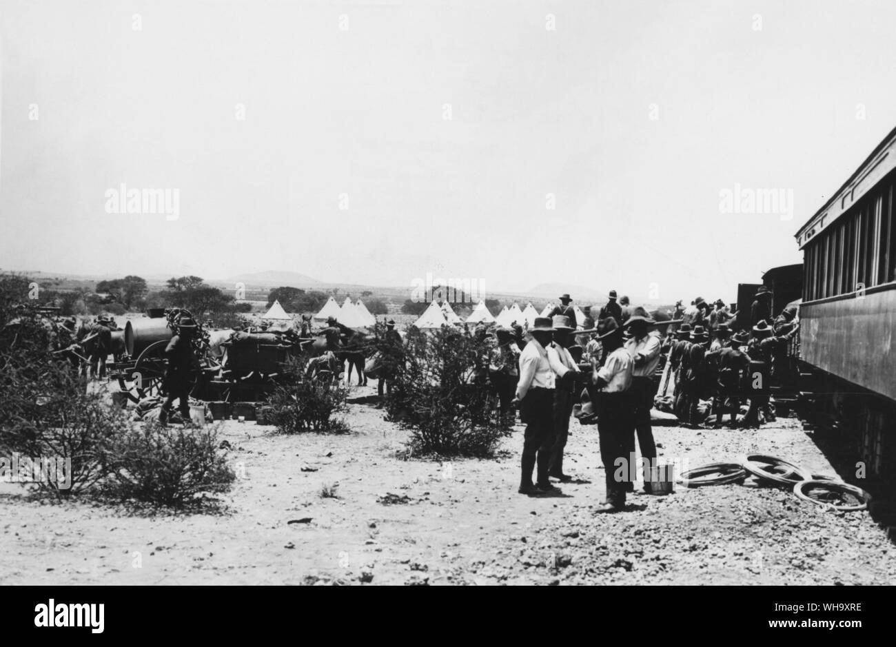 WW1: South African truppe a Zailhead. Nota a cavalli carrelli d'acqua. Quasi tutte le acque dovevano essere trasportati con le truppe, il protettorato tedesco essendo in gran parte un deserto waterless. Foto Stock