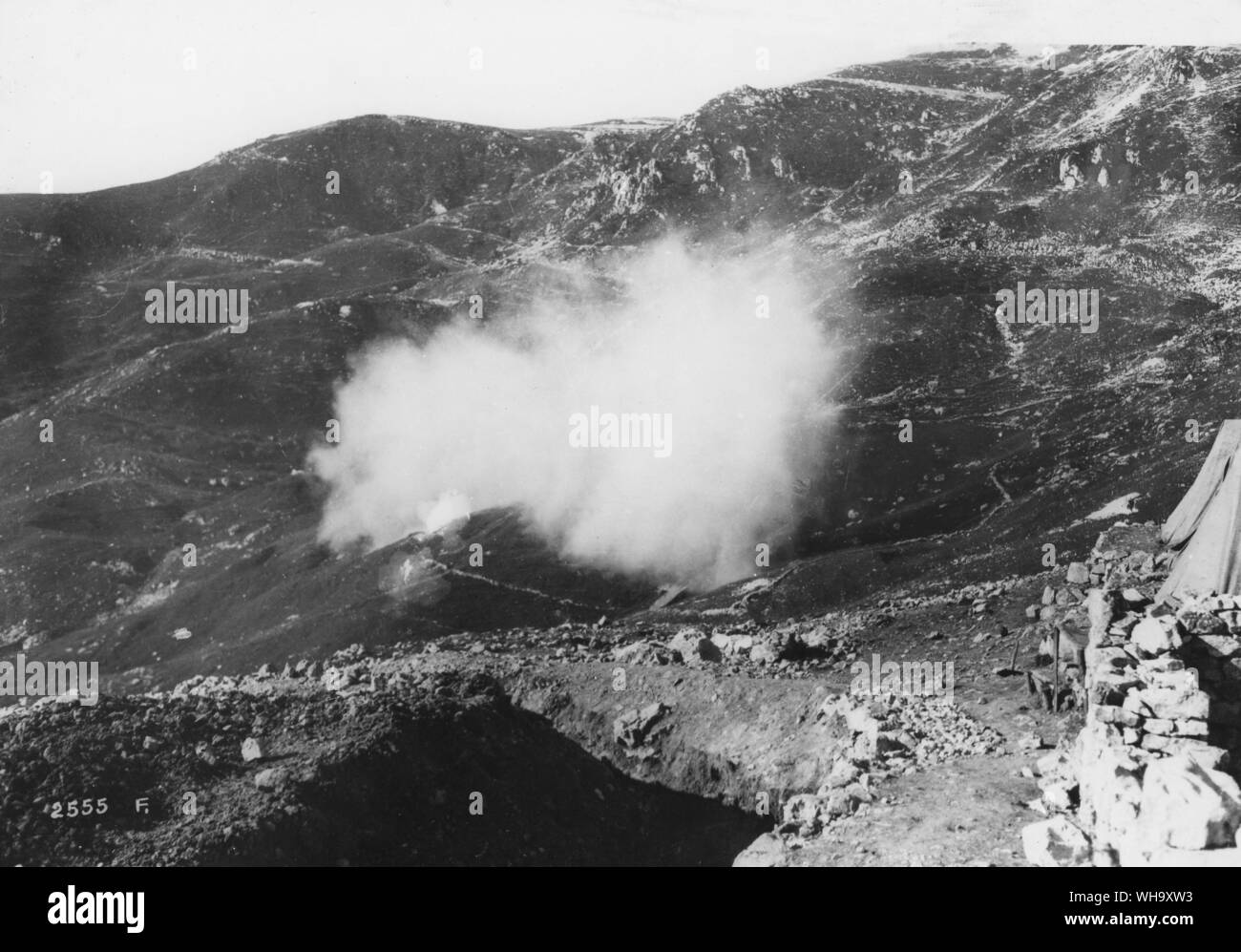 WW1: l'artiglieria austriaca, Italia. Foto Stock