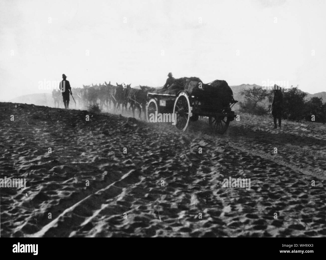 WW1: Mule-carri. Forza orientale utilizzati autocarri e mulo carri in attraversamento della 500 Miglia di quasi deserto waterless-soffiato Kimberley e Keetmanshoop. Foto Stock