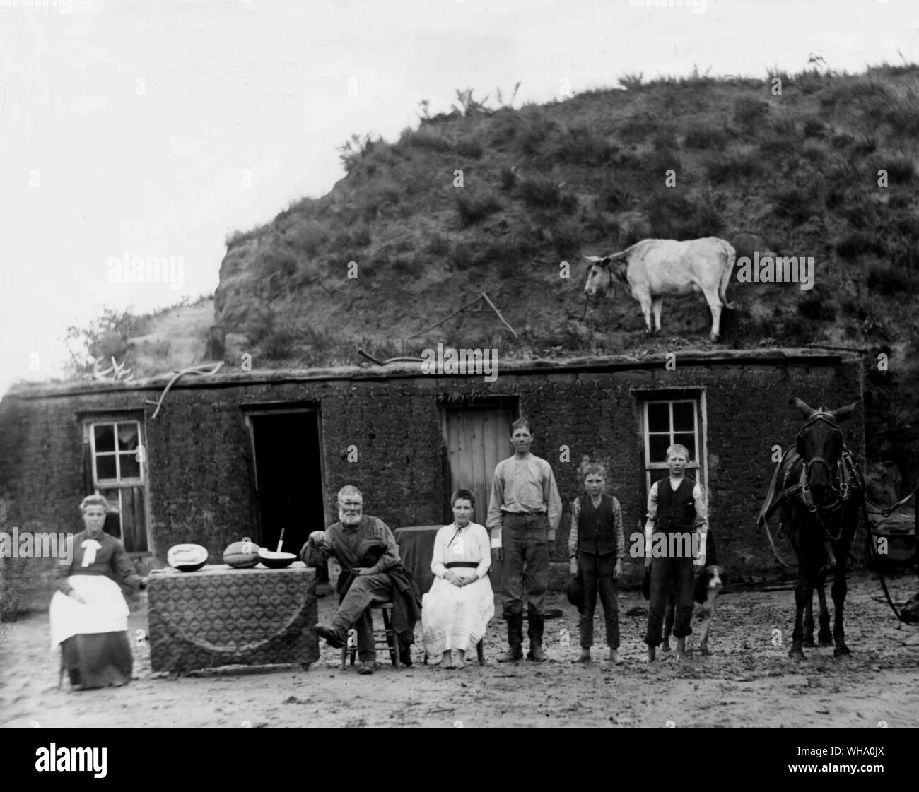 USA: famiglia Pioneer, a nord ovest di Unione, Custer County, Nebraska, c.1887. Foto Stock