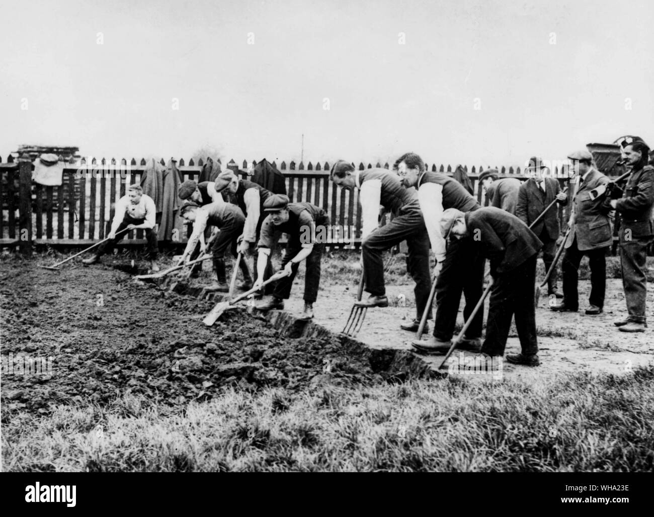 WW2: preparazione della terra per la coltivazione di ortaggi su un campo sportivo vicino a Londra. Foto Stock