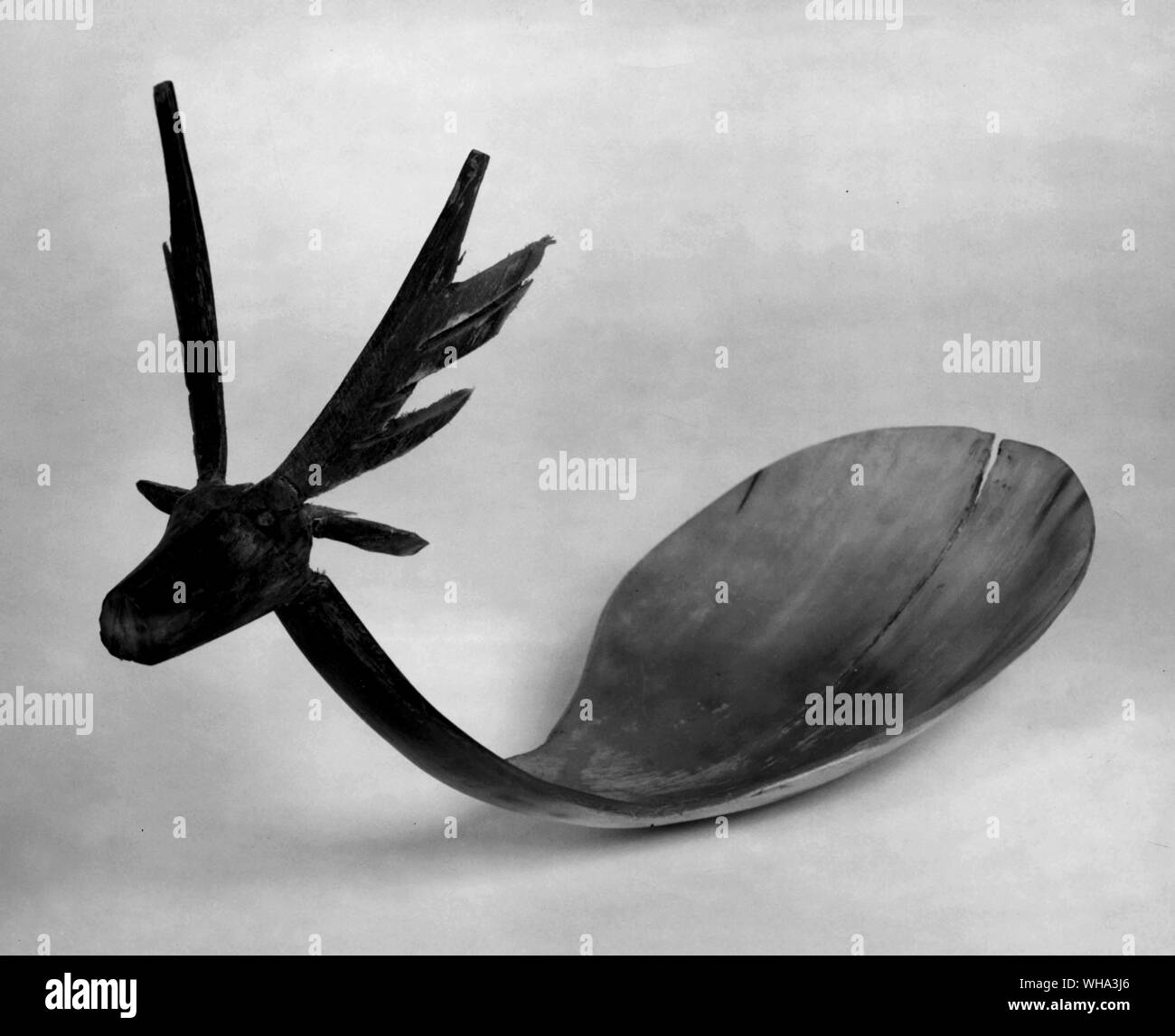 Cucchiaio in corno, fine scolpiti per rappresentare un cervo alla testa. Lungo 9,5 pollici. Teton Sioux del North Dakota. Foto Stock