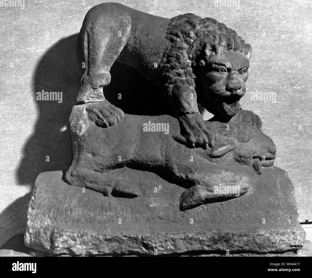 La Corbridge Lion . tomba monumento utilizzato come sorgente. 200-300 d.c. Foto Stock