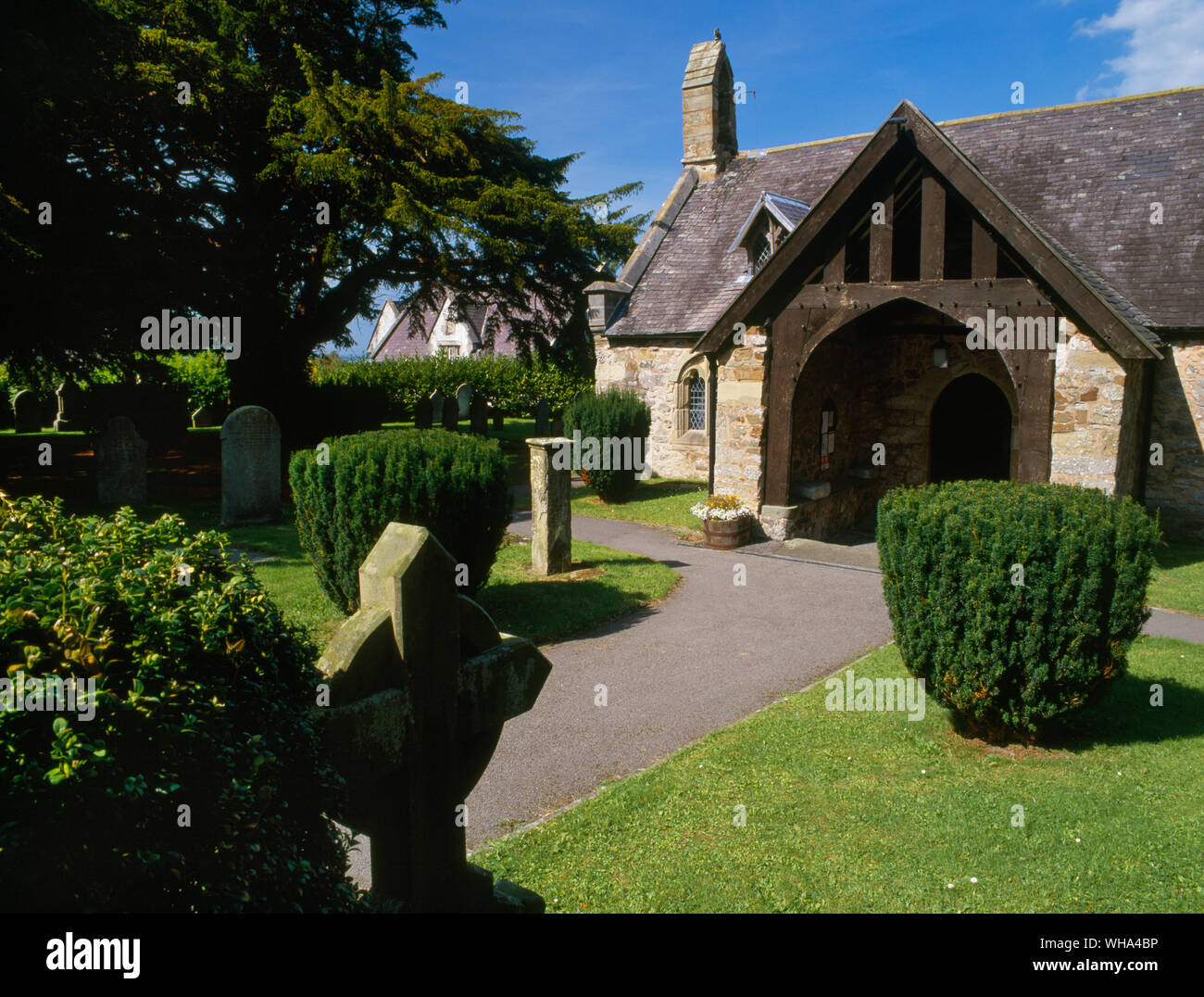 Visualizzare NW del Corpus Domini chiesa, Tremeirchion, il Galles del Nord, Regno Unito, che mostra una parte della circolare del sagrato con 12 tassi, quella fama di essere 800 anni Foto Stock