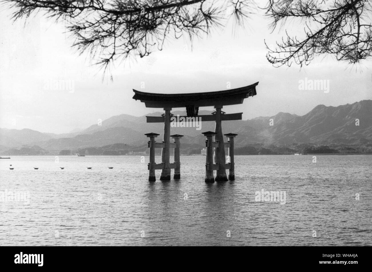 In Giappone , l'isola di Miyajima. L'enorme di legno di camfora Torii 14m alto è la simbolica Porta d ingresso al Santuario scintoista di Itsukushima decimo secolo dal mare. Eretto 1875 Foto Stock