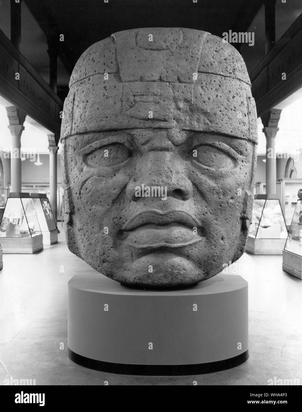 Riproduzione in gesso della testa in pietra, Olmec stile da San Lorenzo Tenochtitilan Vera Cruz in Messico. L'originale è di Diorite e pesa quasi 15 tonnellate. Probabilmente durante i primi secoli dell'Era Cristiana Foto Stock