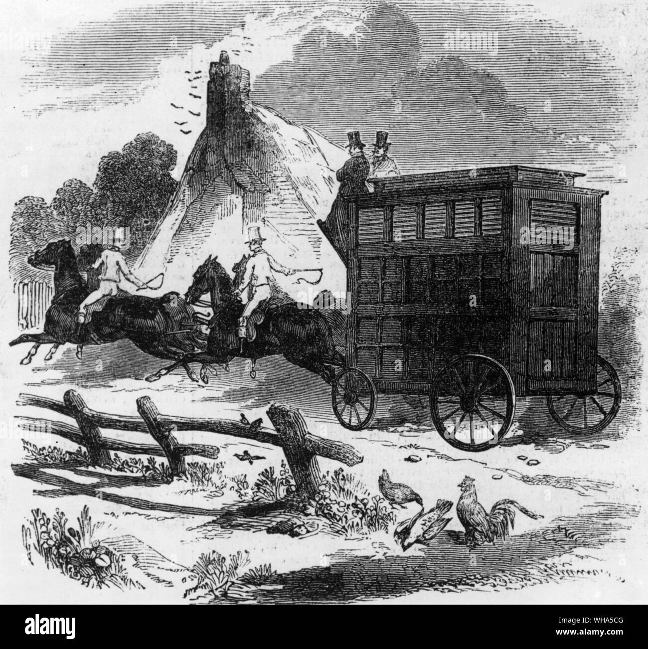 Horse van Foto Stock