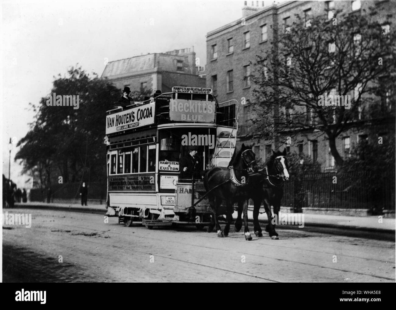 Cavallo e bus Foto Stock