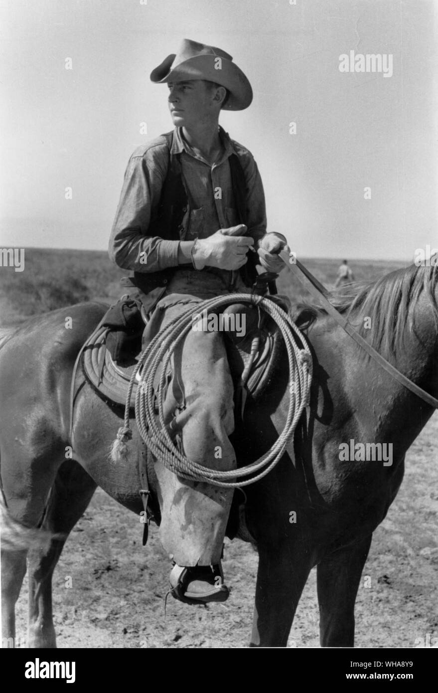 Erwin Smith. Cowboy a cavallo con il suo lassoo Foto Stock