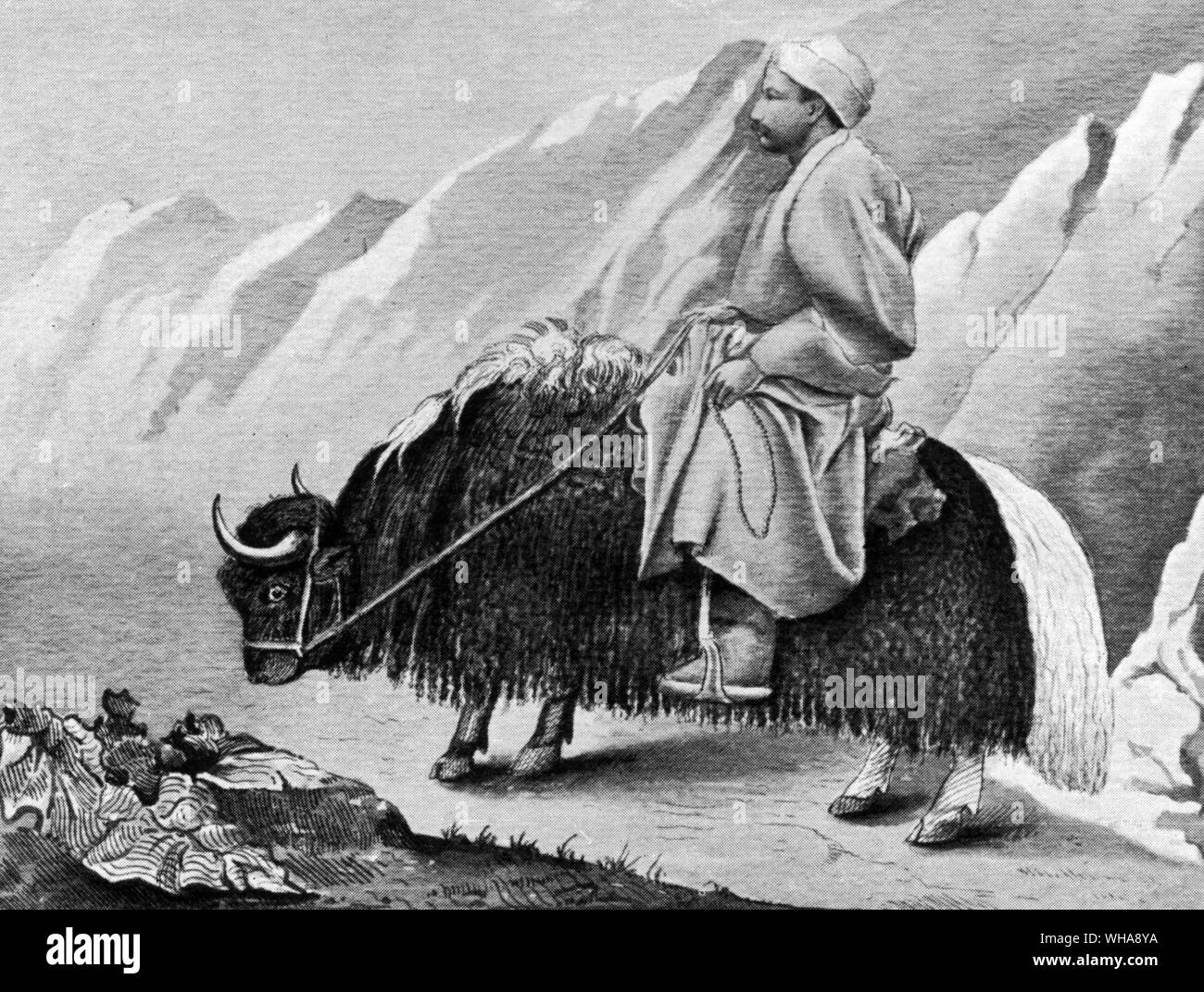 Sarat Chandra Das attraversando il Donkhya Pass. da viaggio a Lhasa e nel Tibet Centrale da Sarat Chandra Das . 1904. . Il pundit Sarat Chandra Das, viaggiando in incognito su un yak, attraversa il Donkhya Pass a 18.000 piedi 5490] (m) nel 1879. Le informazioni che Chandra Das e il nome in codice pundit ÒM HÓ registrato era tutto ciò che era conosciuto circa gli approcci a Everest nei primi anni del ventesimo secolo. Foto Stock