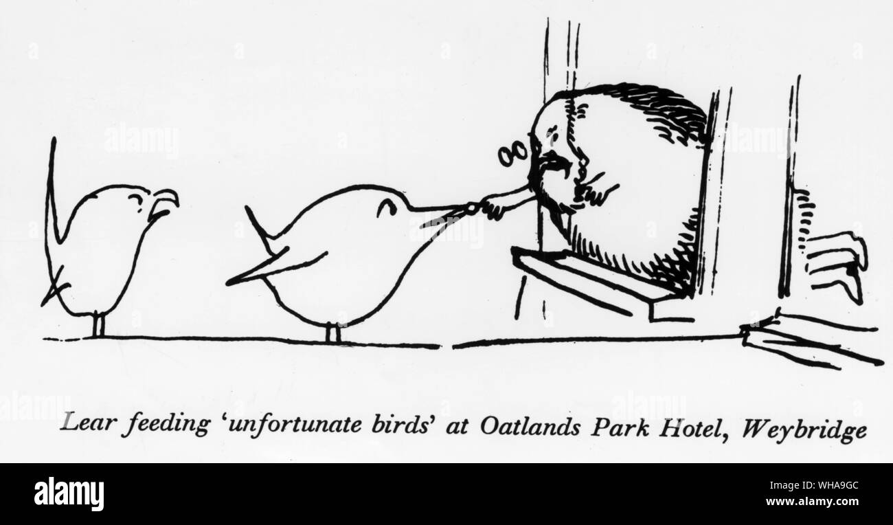 Lear sfortunato alimentazione uccelli a Oatland Park Hotel, Weybridge Foto Stock