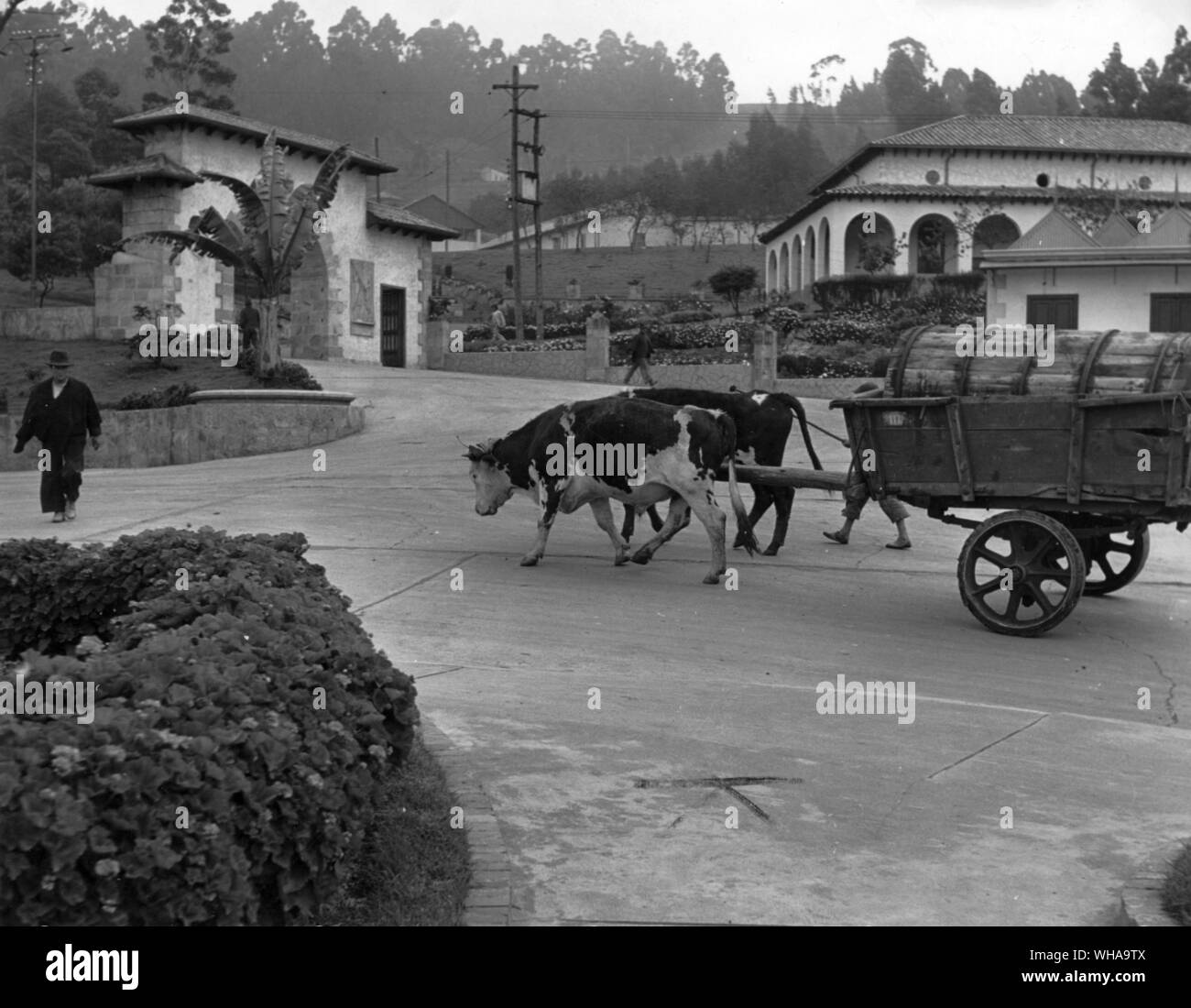 Columbia : salamoia liquido trasportato dalle miniere di sale di Zipaquira vicino a Bogotá Colombia Foto Stock