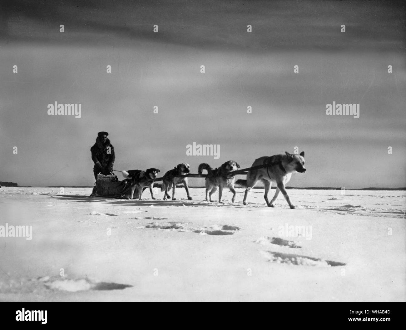 Indiano e il cane di andare a distante la pesca sul ghiaccio tormenta nel nord del Saskatchewan. Foto Stock