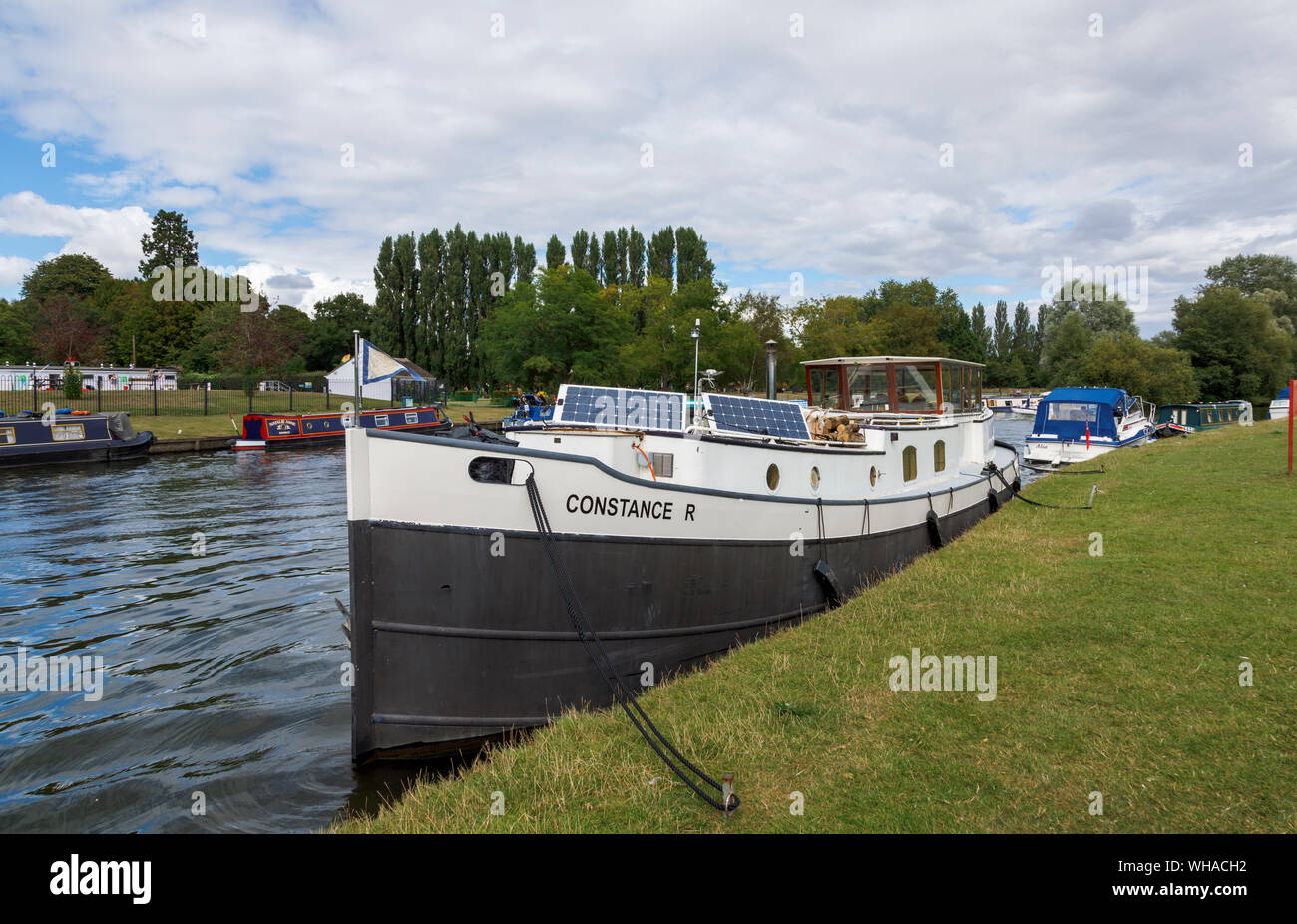 Houseboat ormeggiato sulle rive del fiume Tamigi e Wilts & Berks Canal di fronte Abbey Gardens, Abingdon-on-Thames, Oxfordshire, sud-est Inghilterra Foto Stock