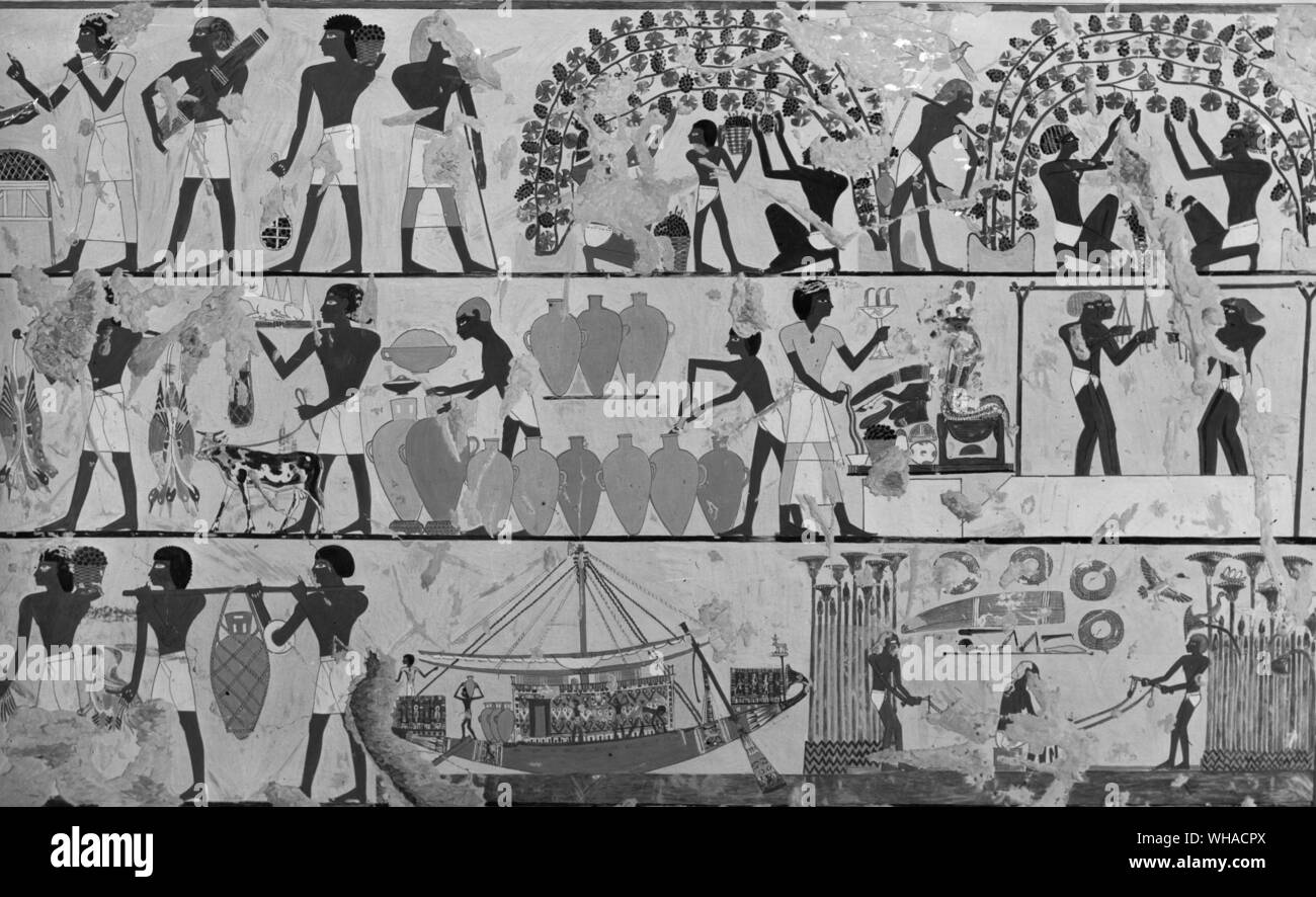 Abbeveraggio le radici dei vitigni, copia del dipinto della Tomba di Kha em wese. Tebe tomba . 12 secolo A.C. Foto Stock