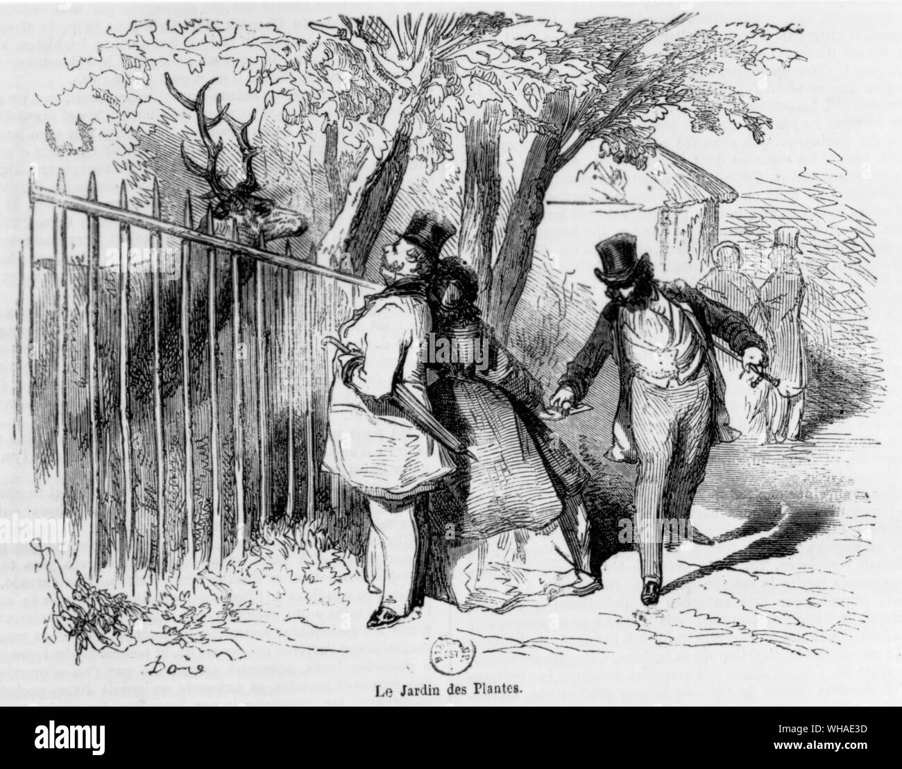 In scena il Jardin des Plantes Parigi. Da un libro chiamato Le Nouveau Parigi con illustrazioni di Gustave Dore. . Foto Stock