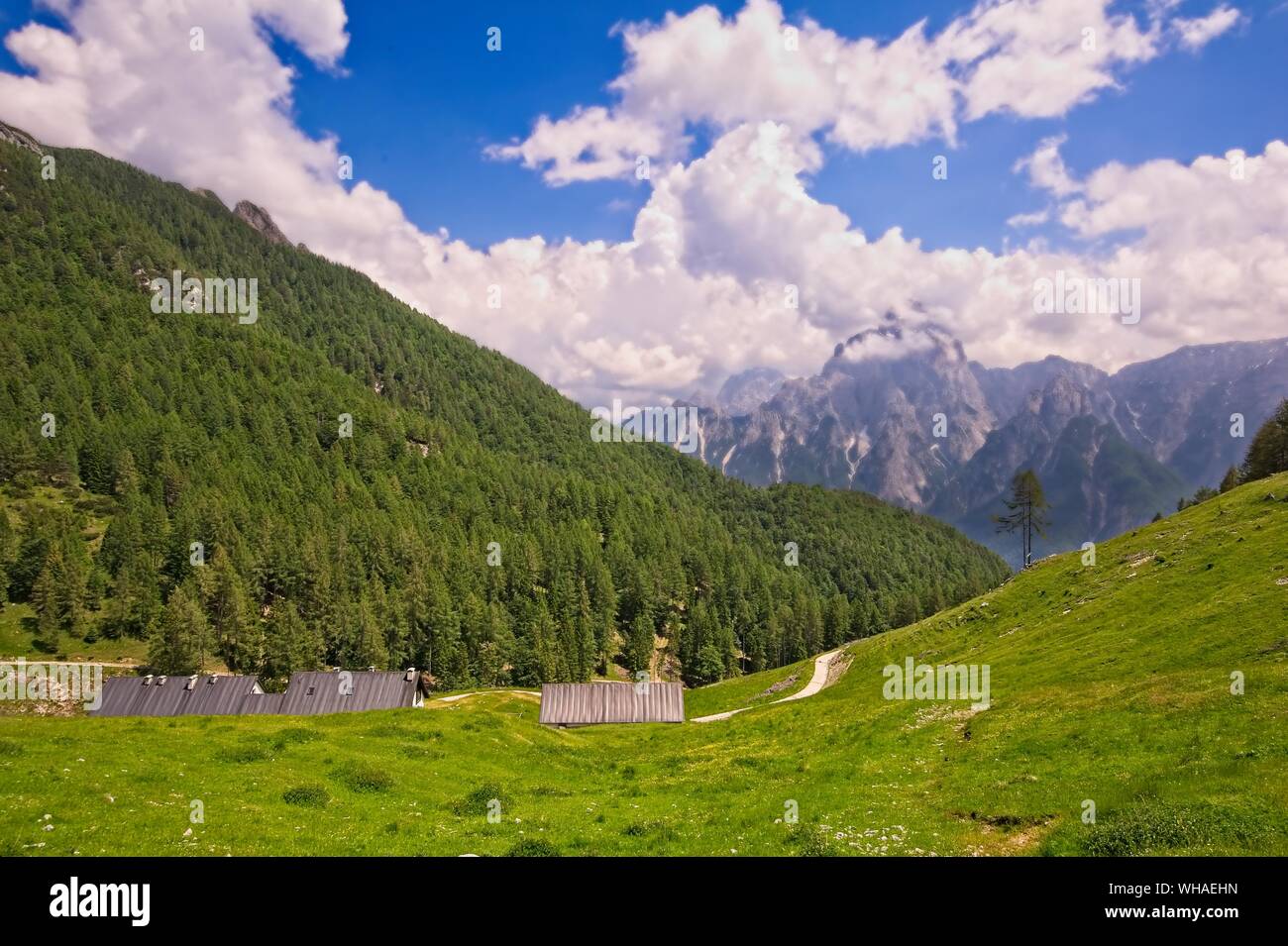 Panorama di montagna con dirty road,alberi e cielo blu con nuvole. Foto Stock