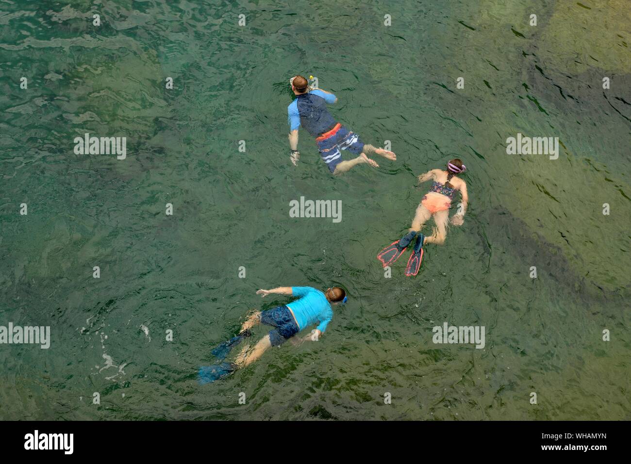 Vista aerea della famiglia gioca snorkeling su una verde mare trasparente Foto Stock