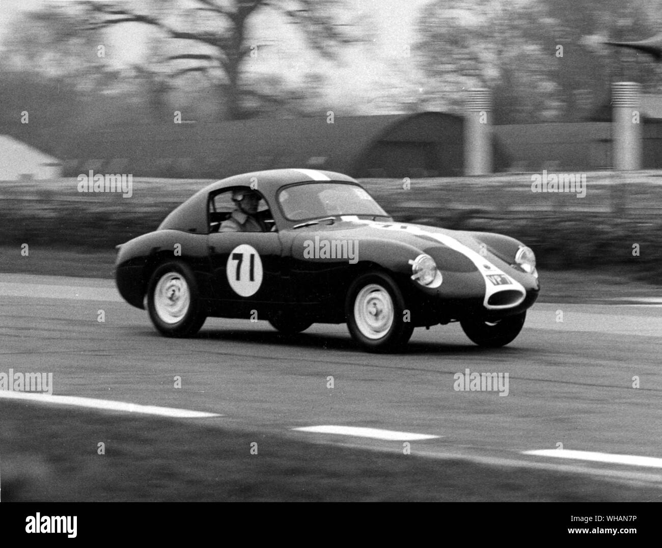 Austin Healey Sprite a Goodwood Foto Stock