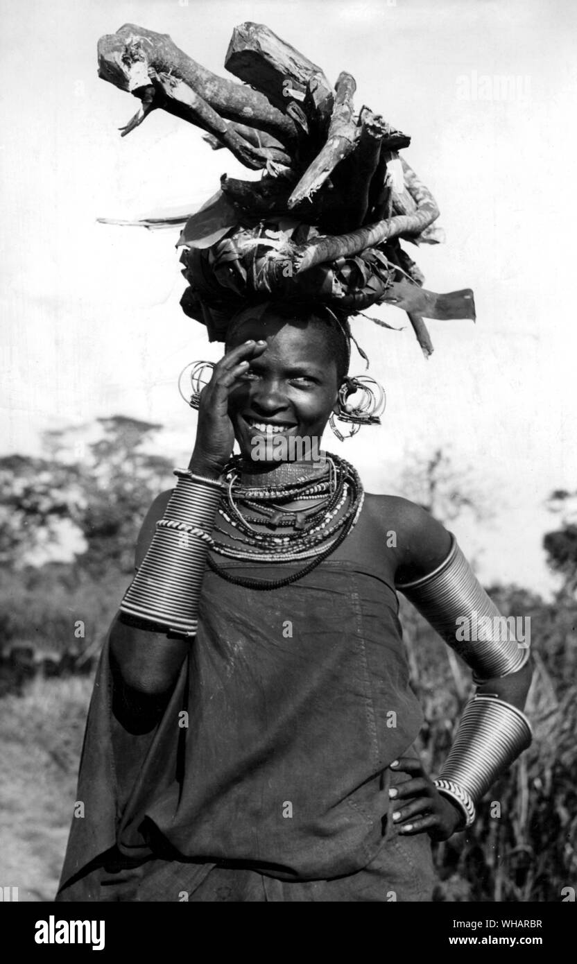 Masai bellezze, che ha un carico di legno equilibrato sul suo capo. Nome Har è Mali ya Tabu ( mi disturba non) e lei è una ragazza della tribù Masai del Kenya Foto Stock
