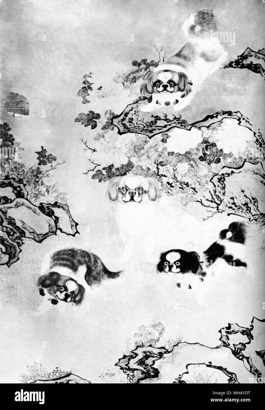 Scorrimento di seta dipinto dall'Ch'ien Lung Periodo 1756-1800 mostra Pekes cinese Foto Stock
