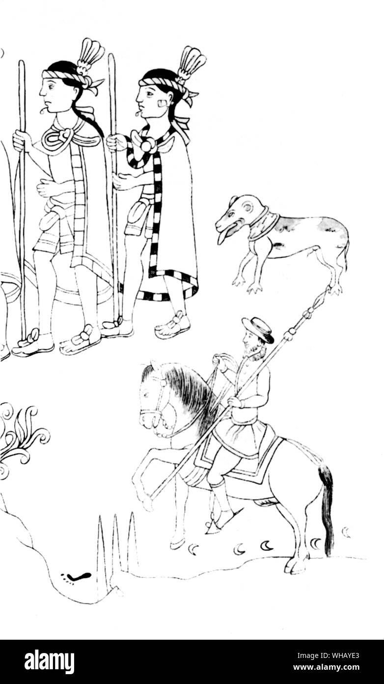 Un dettaglio da messicana illustrazione documento del sedicesimo secolo mostra una rappresentazione di un cane . Non è chiaro se essi sono stati sviluppati dagli Aztechi da cani importati dai Conquistadores Spagnoli . Foto Stock