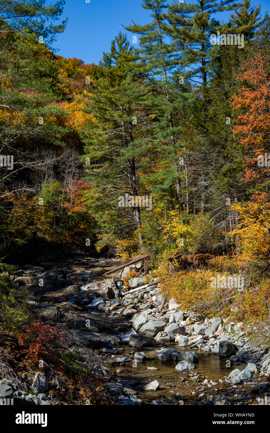 Autunno Stream nel Massachusetts occidentale Foto Stock