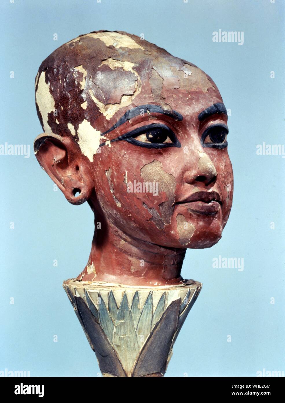 Tutankhanmen. La testa del bambino re emergente da un fiore di loto come il Rising Sun. trova all'ingresso della tomba. Foto Stock