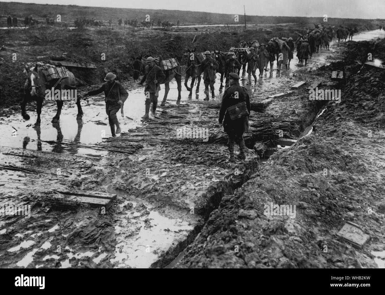 La Grande Guerra - Pack cavalli prendendo le munizioni per la zona di prua - Dicembre 1916. Imperial War Museum 1779. Foto Stock