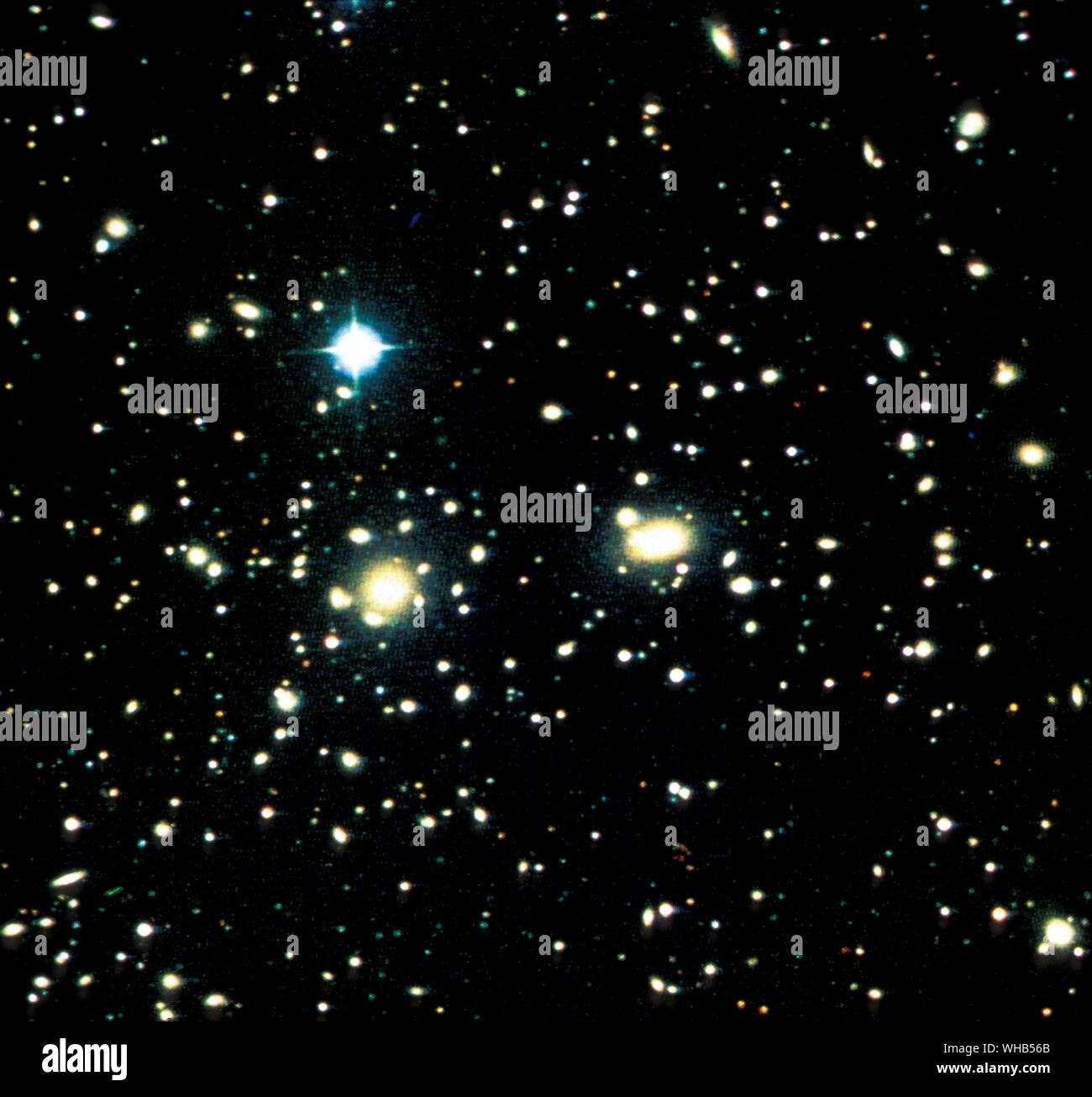 Coma ammassi di galassie Il Coma Cluster (Abell 1656) è un grande ammasso di galassie che contiene oltre mille identificate galassie. Insieme con il cluster di Leo (Abell 1367) è uno dei due principali aggregati comprendenti il coma Supercluster.. Il quadro strumenti indica la distanza dalla Terra è di 99 Mpc (321 milioni di anni luce). Le sue dieci più brillanti le galassie a spirale hanno magnitudini apparenti di 12-14 che sono osservabili con telescopi amatoriali più grandi di 20 cm. La regione centrale è dominato da due giganti di galassie ellittiche: NGC 4874 e NGC 4889. Il cluster è di pochi gradi nord galactic Foto Stock
