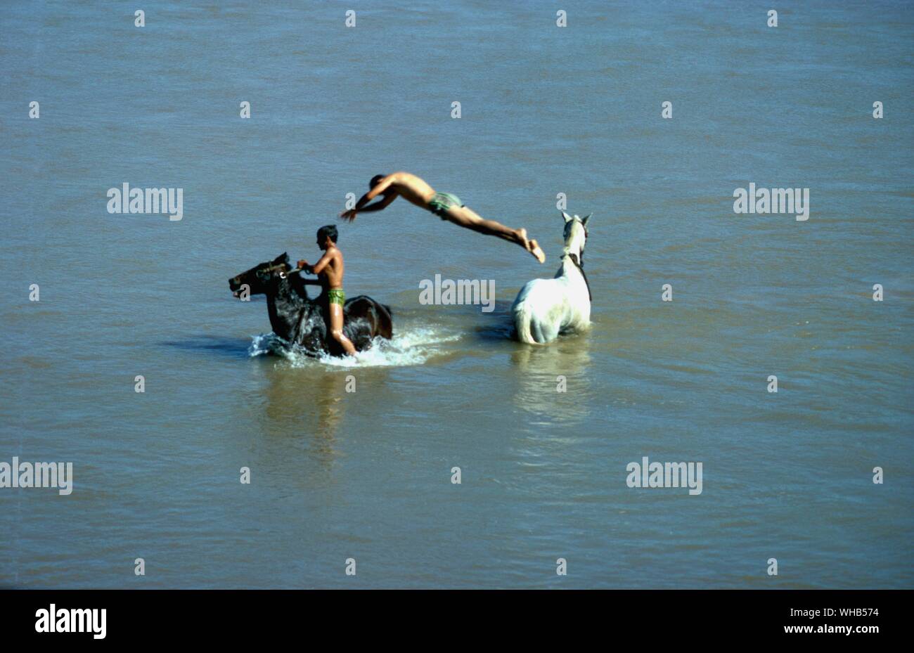 R. Araguaia - ragazzi e pony nell'acqua. Foto Stock