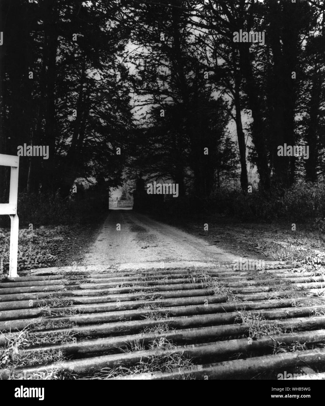 Haunted Gran Bretagna. Eastbury drive e cattlegrid Dorset Foto Stock