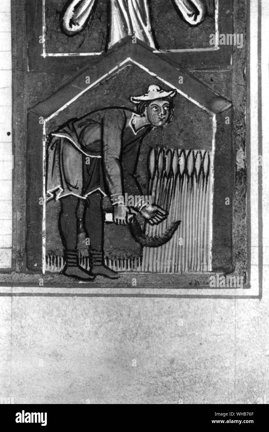 Un agricoltore la raccolta di sue colture Foto Stock