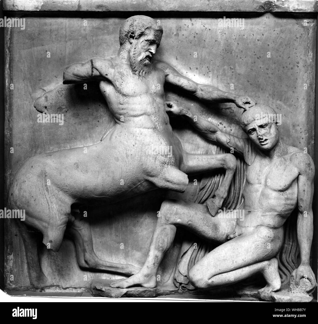 Centaur trionfante : 442 BC. Parthenon Marmi . Un Lapith costretto a terra da un centauro Foto Stock